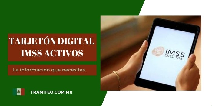 tarjeton digital imss activos