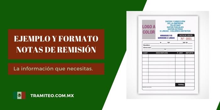 ejemplo notas de remisión