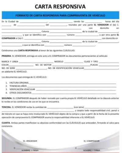 carta responsiva